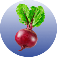 Beet Root