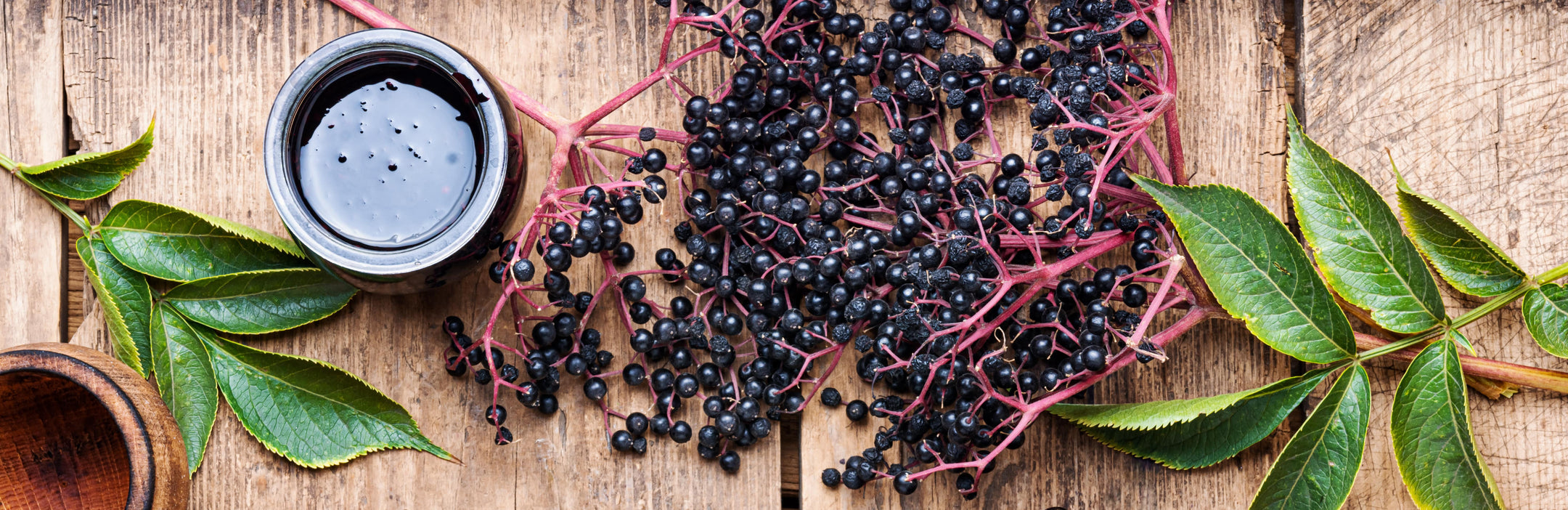 Elderberry Gummies and Immune Benefits