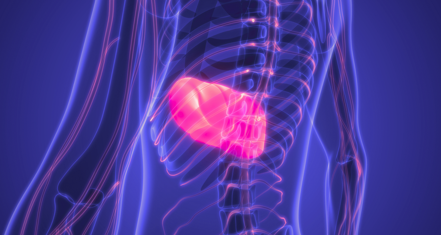 What Causes High Liver Enzymes?