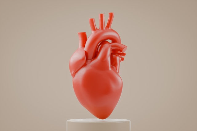 What Your Heart Age Says About Your Health: Understanding the Implications