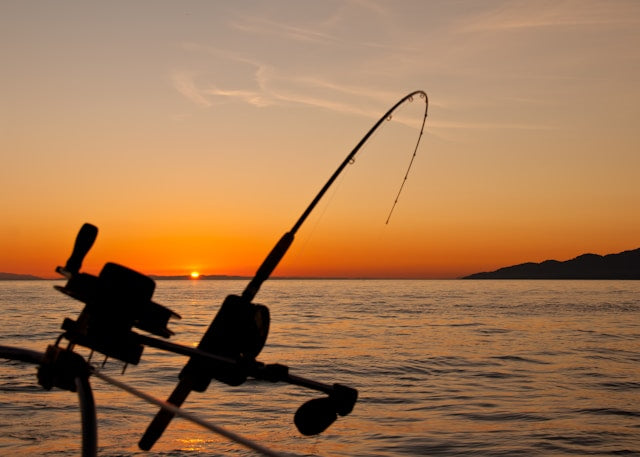 Does Fishing Help Cardiovascular Health: Exploring the Benefits for Heart Wellness