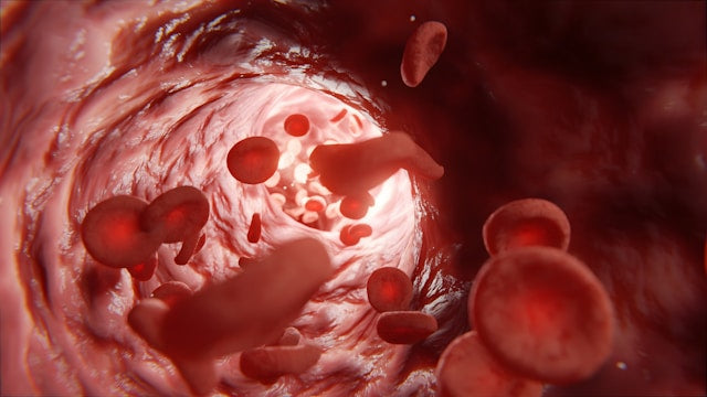 How to Increase Blood Flow to Uterus: Effective Techniques and Tips