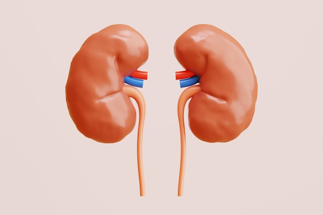 Best Exercise for Kidney Health: Boosting Your Well-being Naturally