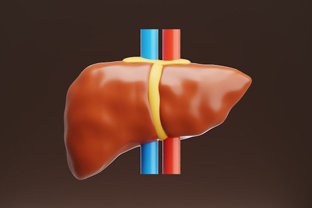 What Vitamins Support Liver Health: Essential Nutrients Explained