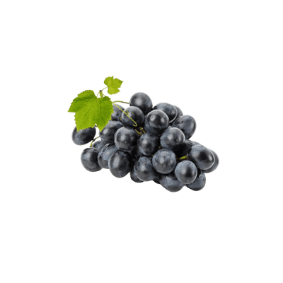 Resveratrol