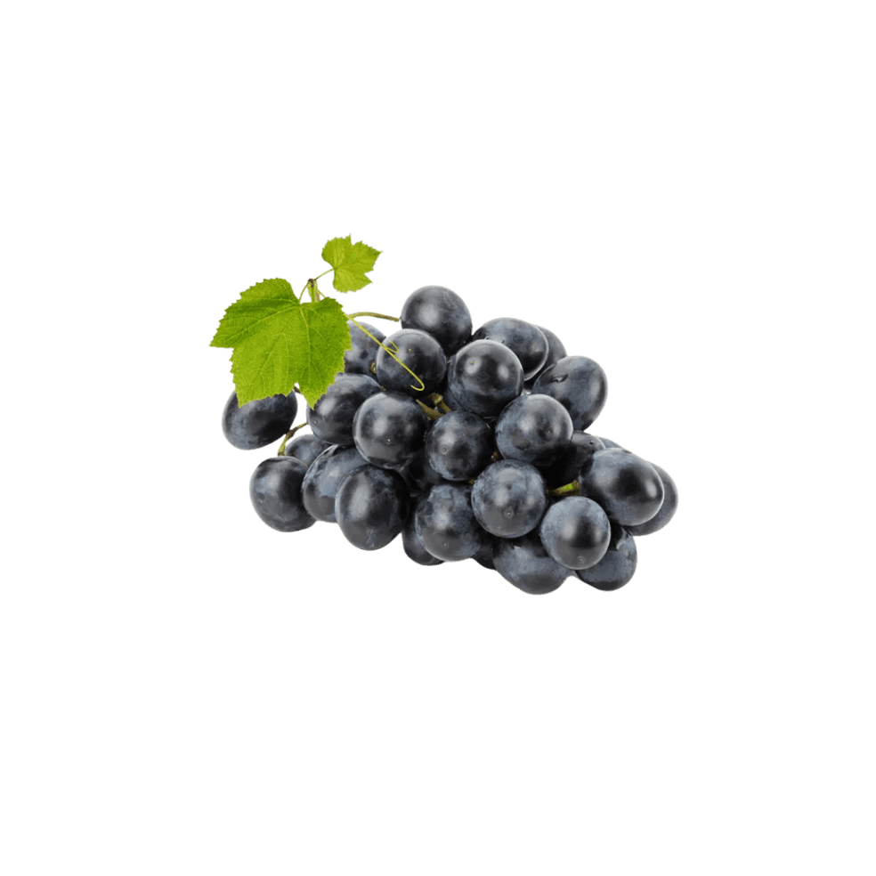 Resveratrol