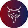 Promotes urinary comfort
