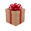 Mystery Gift