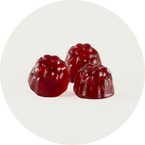 One Gummy. Four Ways It Supports You.