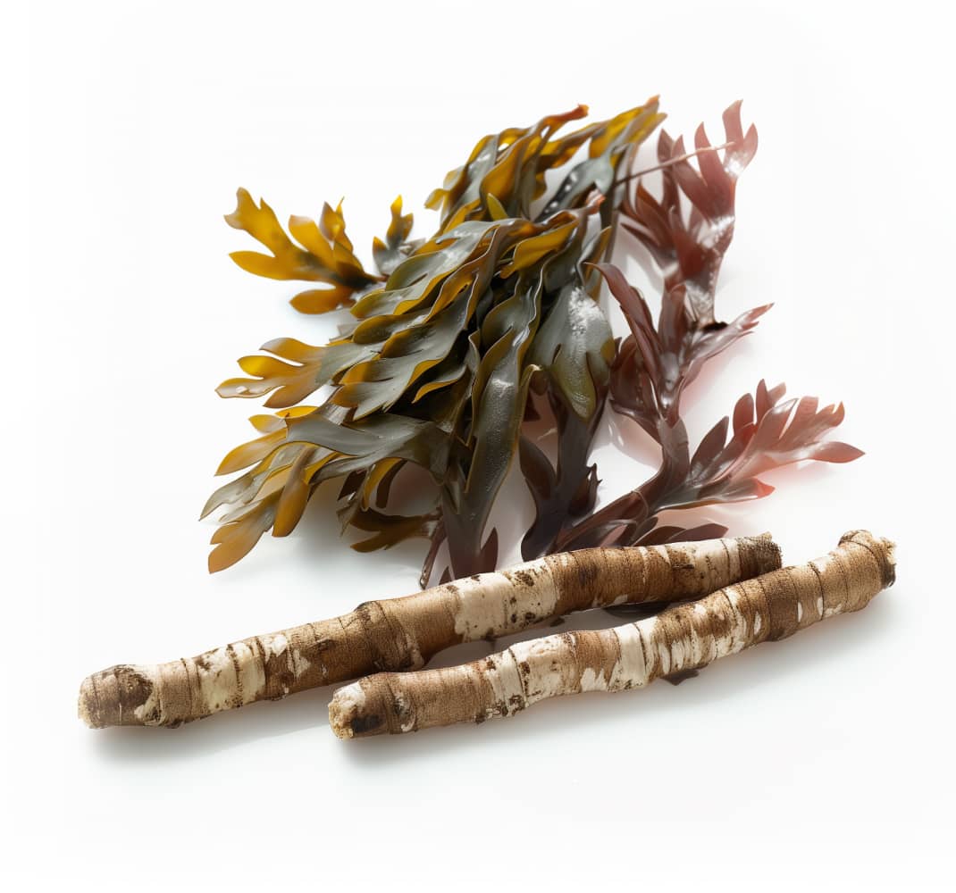 92 trace minerals from the ocean, concentrated into one daily capsule.