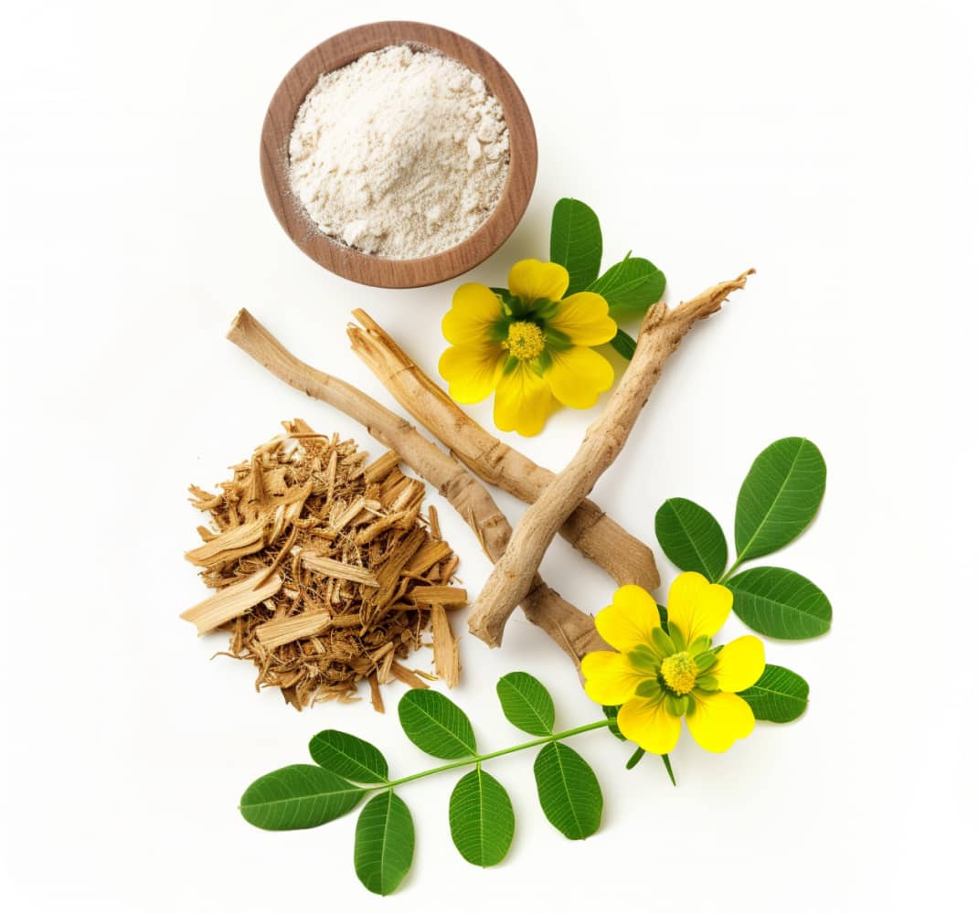 The Ingredients That Restore What You've Lost