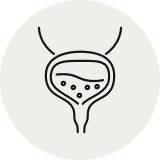 Supports Bladder Function