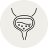 Supports Bladder Function