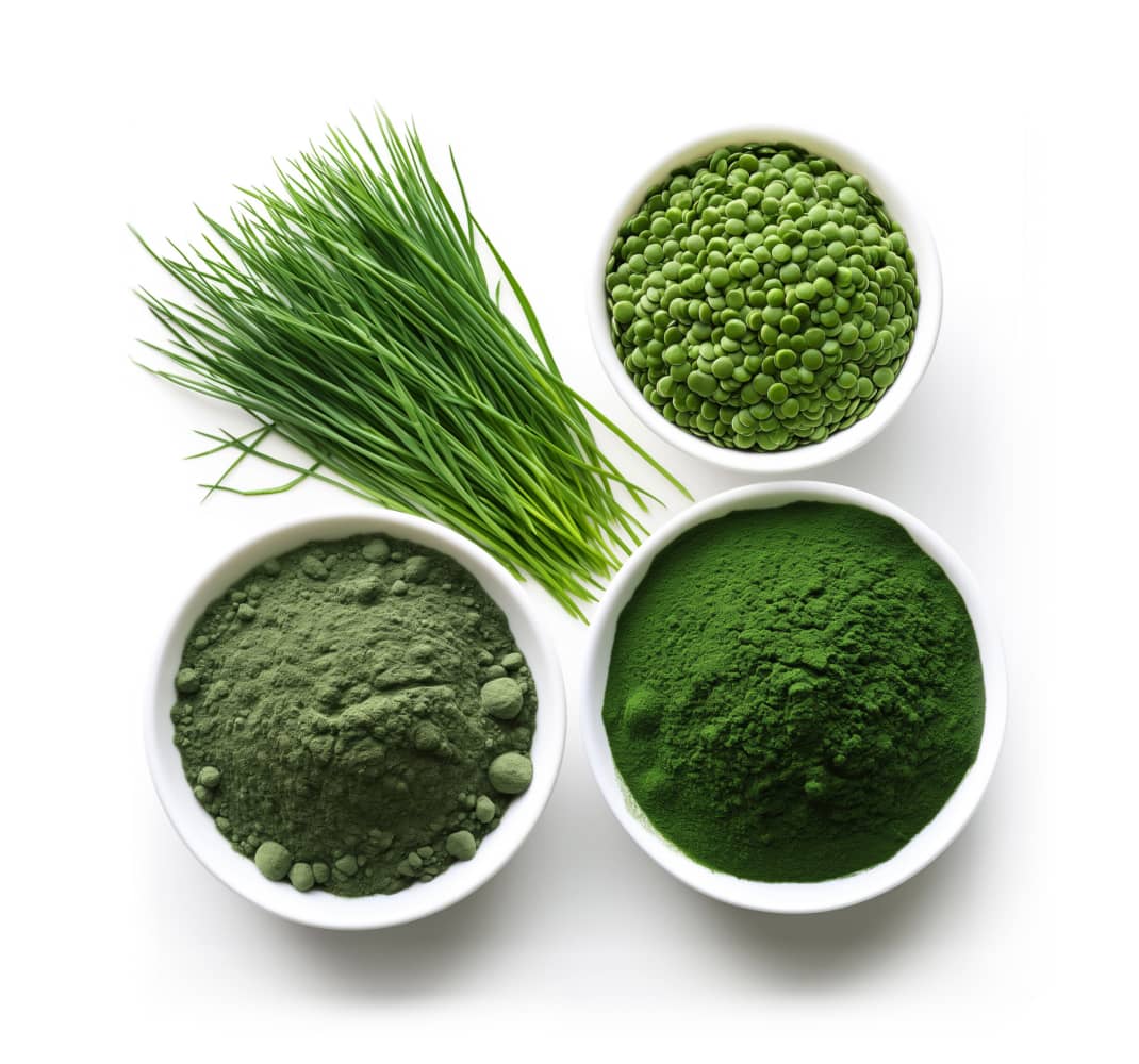 Two superfood algae that rebuild, detox, and protect your body daily.