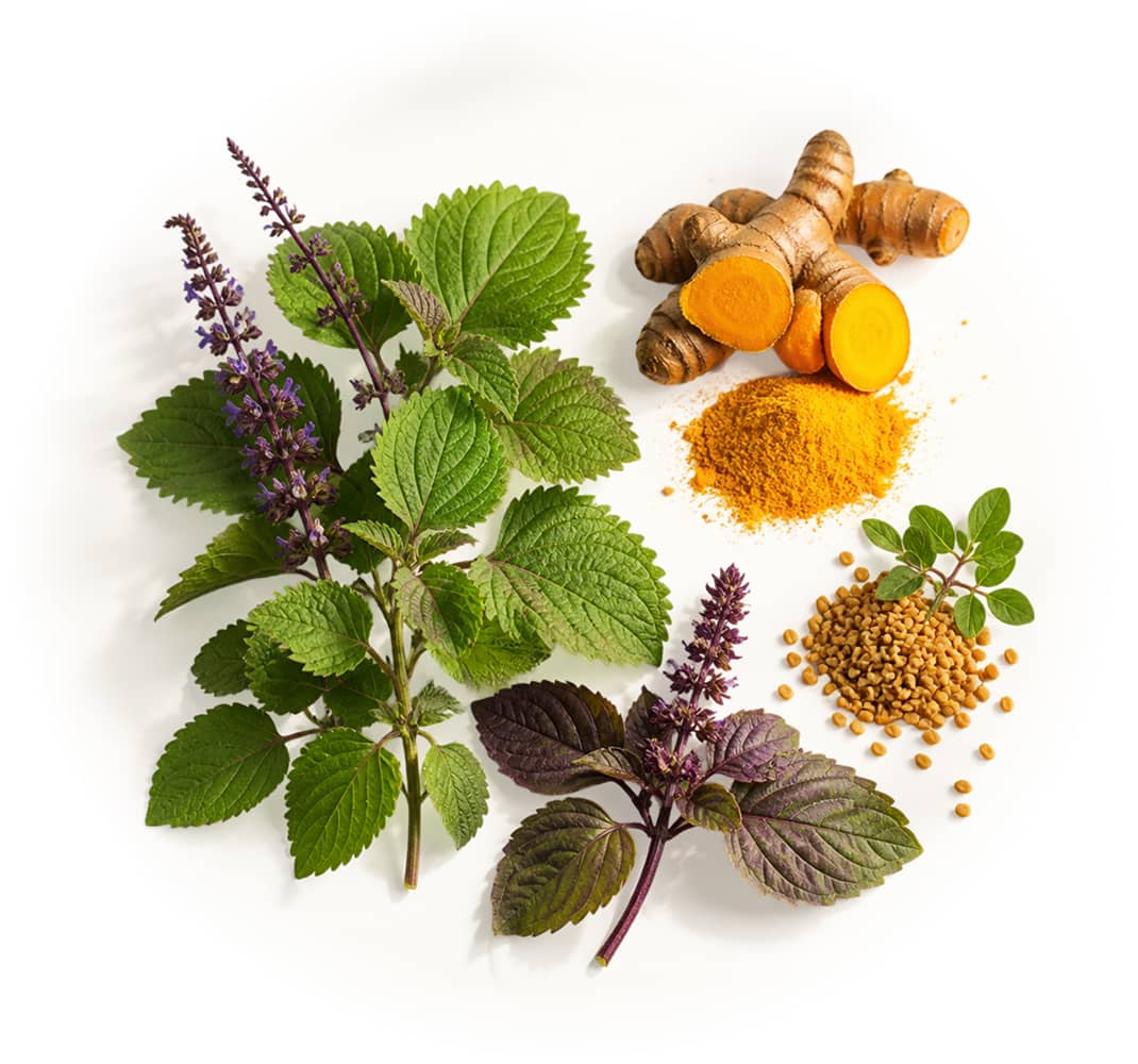 The Ingredients Thyroid Decline Takes Away and We Restore