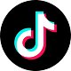 TikTok Logo