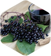 Elderberry Extract,Elderberry Herbal Supplements
